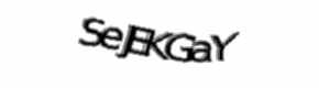 Security check image, please type the characters shown