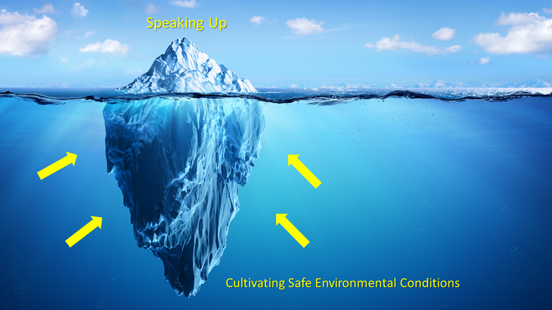 Speaking Up: Cultivating Psychological Safety in Virtual Training-Iceberg Image.png