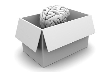 Why the Brain Is Still a “Black Box” and What to Do About It