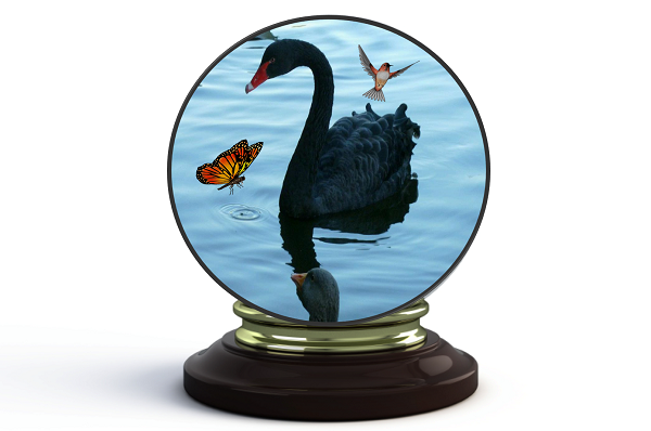 Butterflies, Black Swans, and Hummingbirds–Predicting the Future of Learning