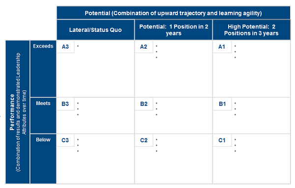 Using Talent Reviews as a Strategic Partner -Rumsey Figure 1 Assessment Chart.png