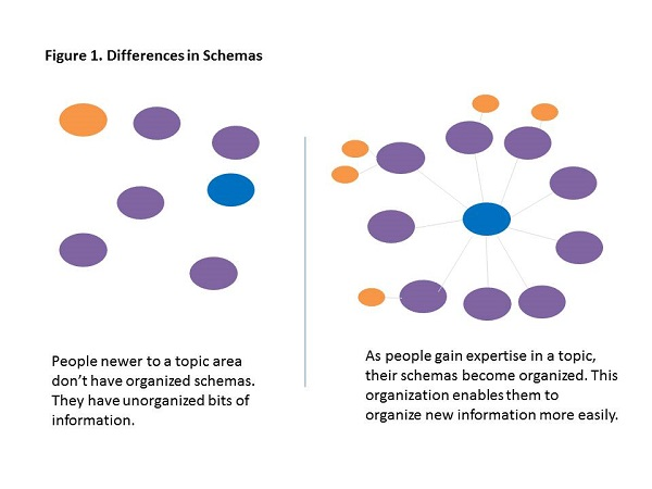 Science of Learning 101: Reducing the Wrong Types of Mental Effort in Instruction-2e58d543230ca598f05210e8756fcacfa5341cc9cf1ebe7e202ac3580c4da871