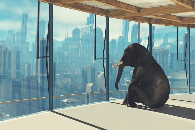 The 3,000-Pound Elephant in the Corner Office