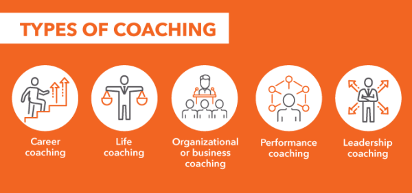 Exploring the Different Kinds of Coaches: A Comprehensive Guide