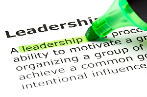 Public Sector Leaders: Different Challenges, Different Competencies-434ae2f2083f899ab457b9a6614f2385d7c2d5495275aae69ee1ff79ee91cf92