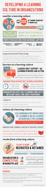 Developing a Learning Culture: An Infographic