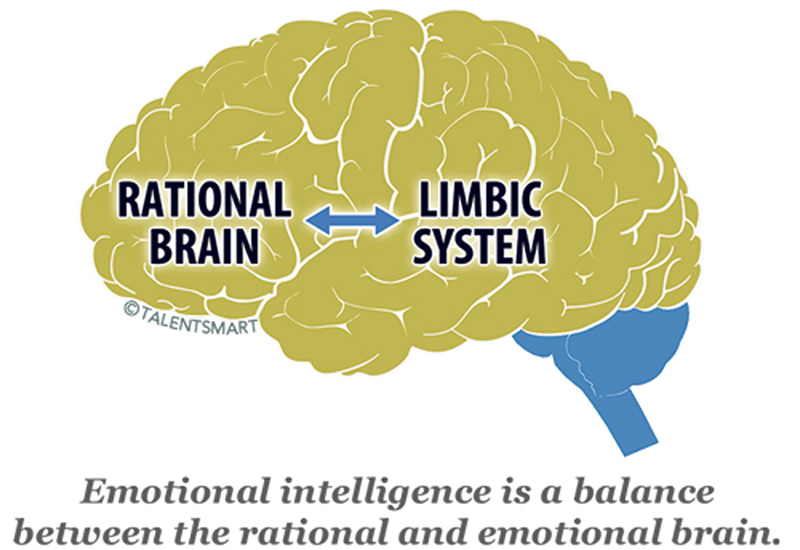 Why Your Team Needs Emotional Intelligence to Succeed-bf9ec271691ceaadbb146c30a4f24f910cb78f31373d70e73cf378f31571700a