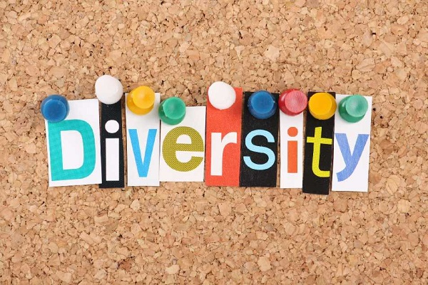 Accelerating Talent Diversity: No One-Size-Fits-All Approach