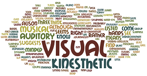 L&D Neuromyth: Learning Styles (Visual, Auditory, Kinesthetic)-fa0a94cf43da01807922326f447df7bc5fe96ce768ca155a8eea5d7b43161b0c