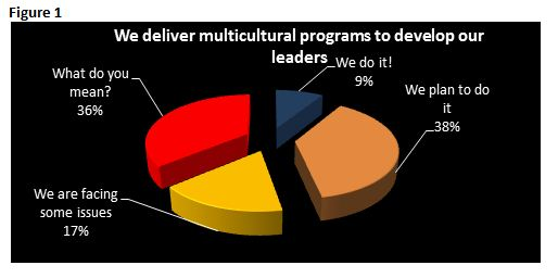 Are We Ready to Develop Global Leadership Programs?