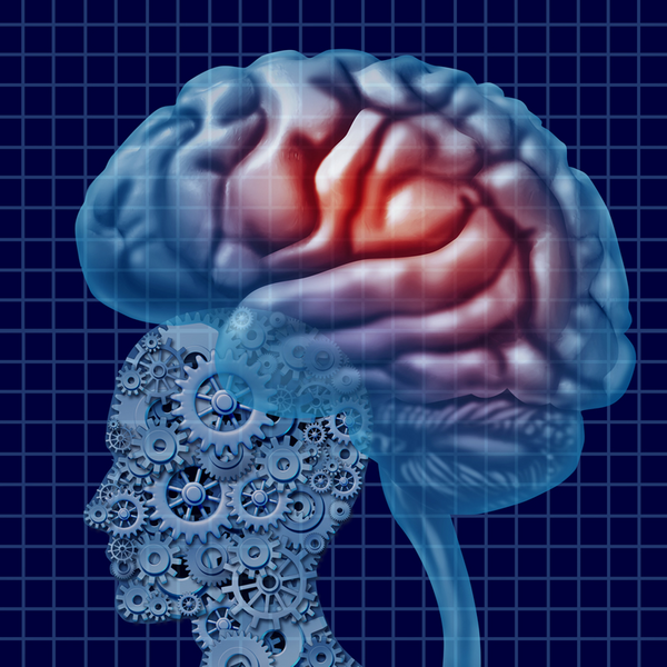 Neuroscience in Performance Management