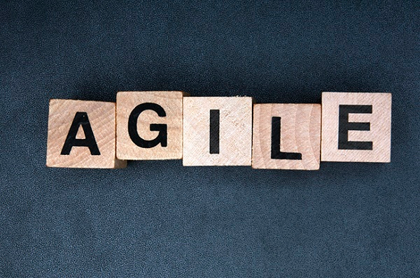 What Do We Really Mean By Agile?
