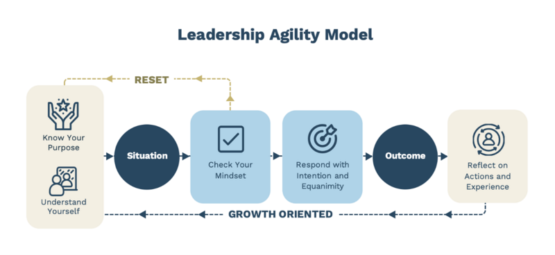 Mastering Leadership Agility for an Agile Workplace-Dion Leadership Agility Model.png