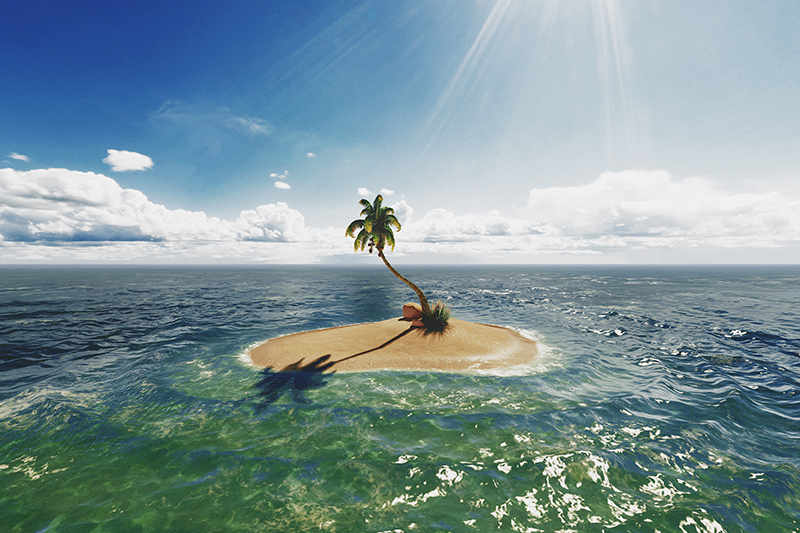 Learning Leadership Can Be a Deserted Island