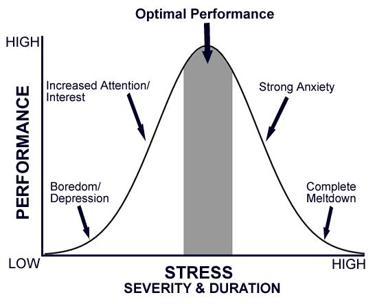 How Successful People Stay Calm-8cd8d0c29eaf49b332578a5cf03f81d28d80a5b59e29bcd89ecded14d04ed2df