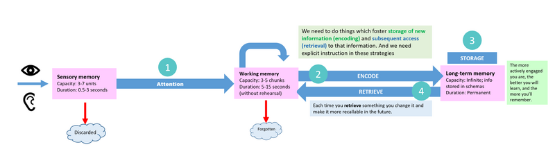 How We Learn and Why It’s Important-Phelan Four Actions of Memory.png