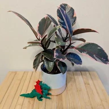 ELB Post Rubber Tree