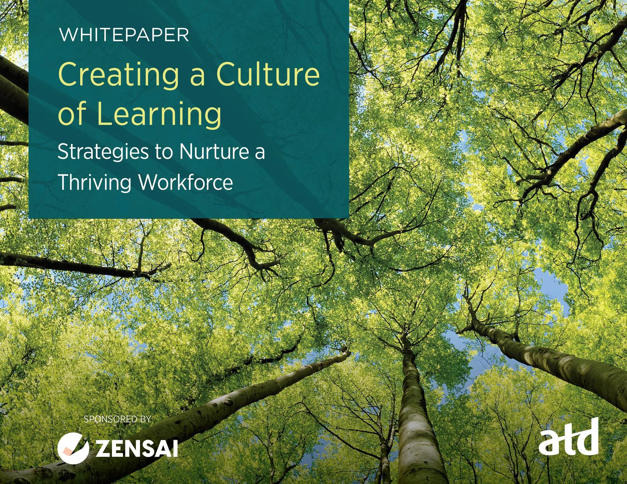 192603 Learning Culture WP Cover Fnl RGB