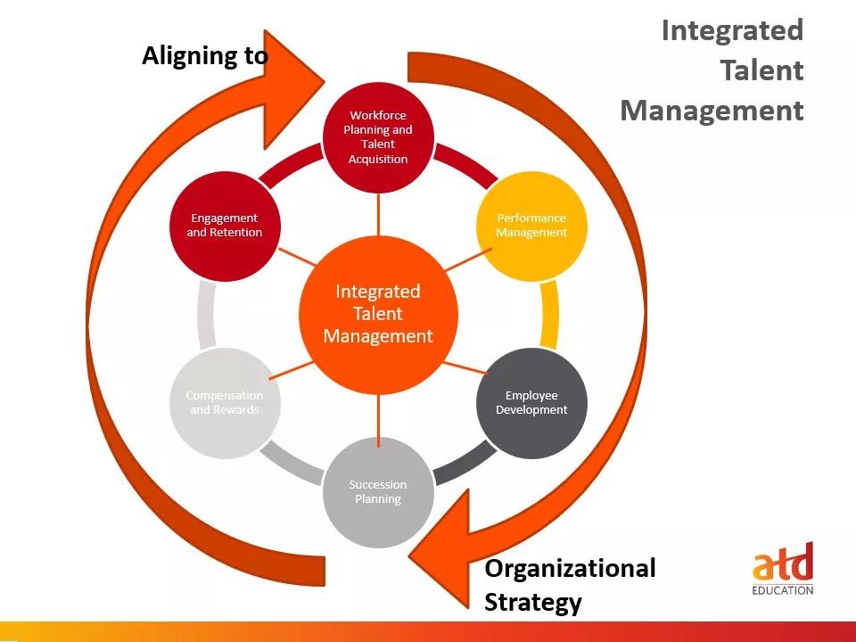 what is talent management graphic 2