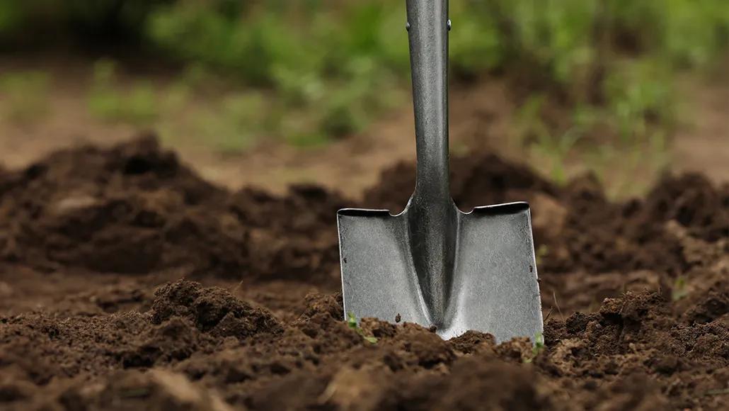 A photo of a shovel scooping dirt