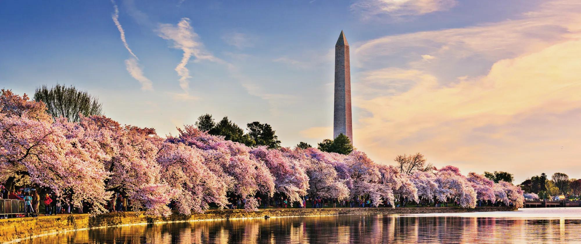 Metro DC Chapter