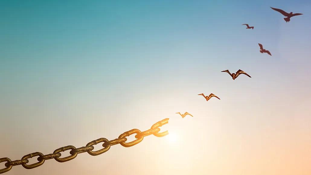 Confessions_Winter26_TDL