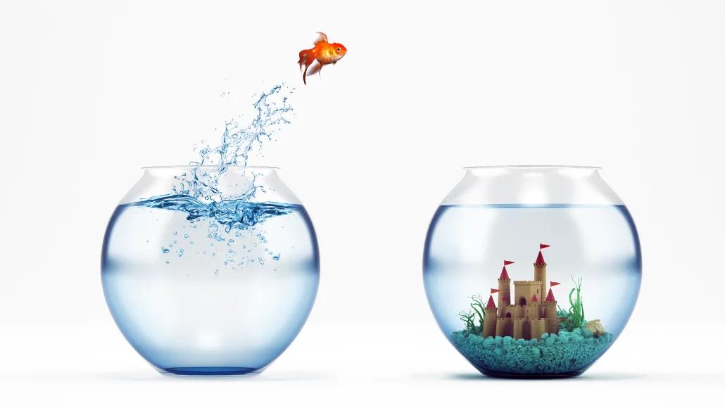 An illustration shows a fish jumping out of a fishbowl with only water and into a fishbowl with a castle in the water