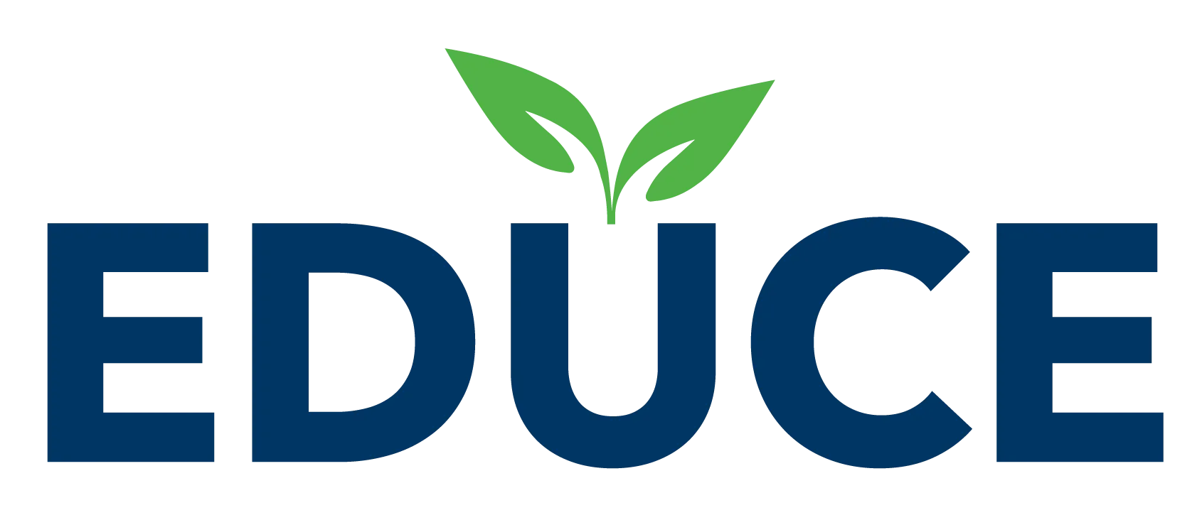 Educe Group large logo