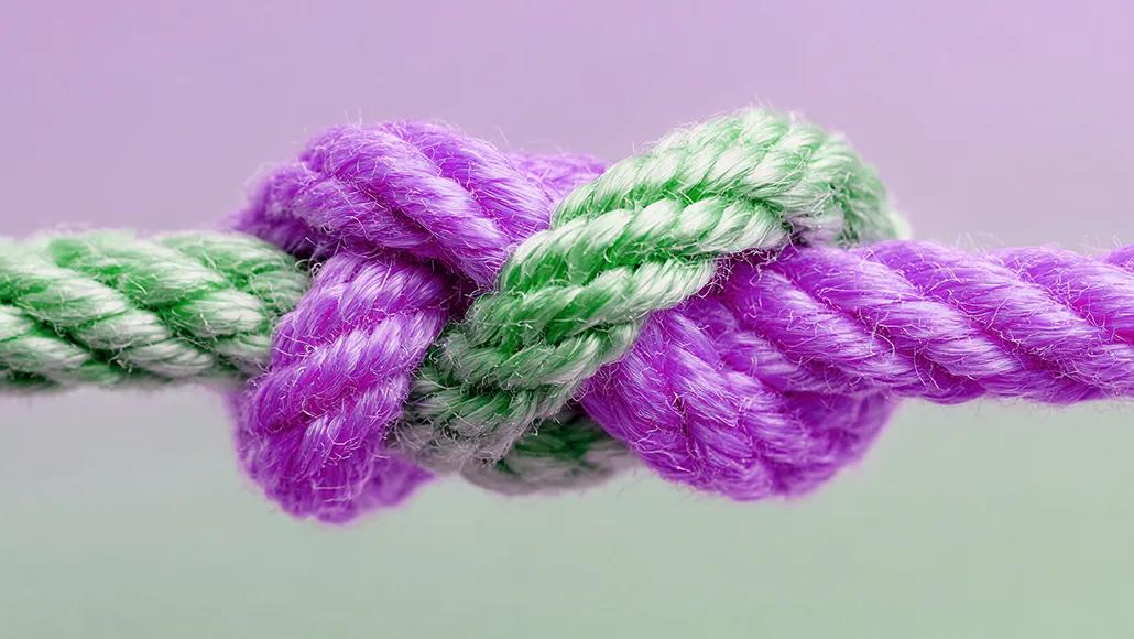 purple and green knot
